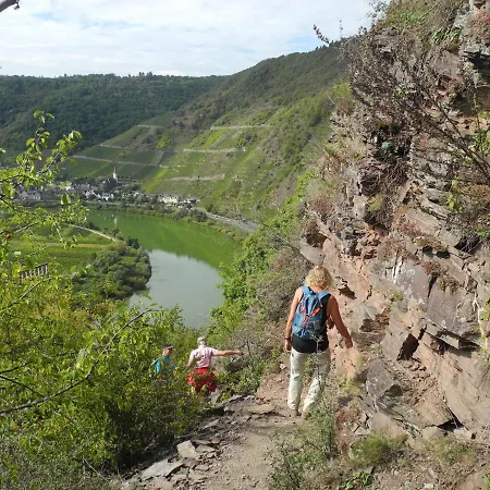 Weingut Hammes-krüger 3*