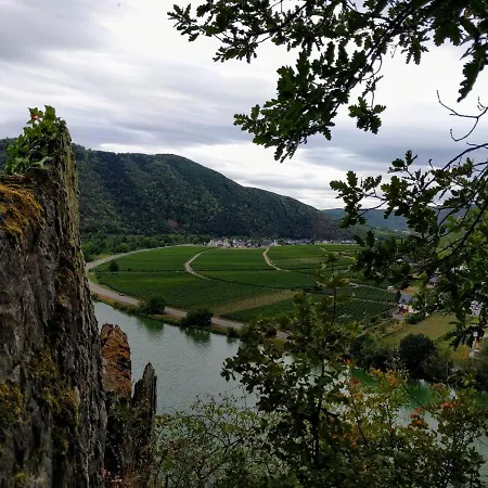 Weingut Hammes-krueger Bed & Breakfast Ellenz-Poltersdorf