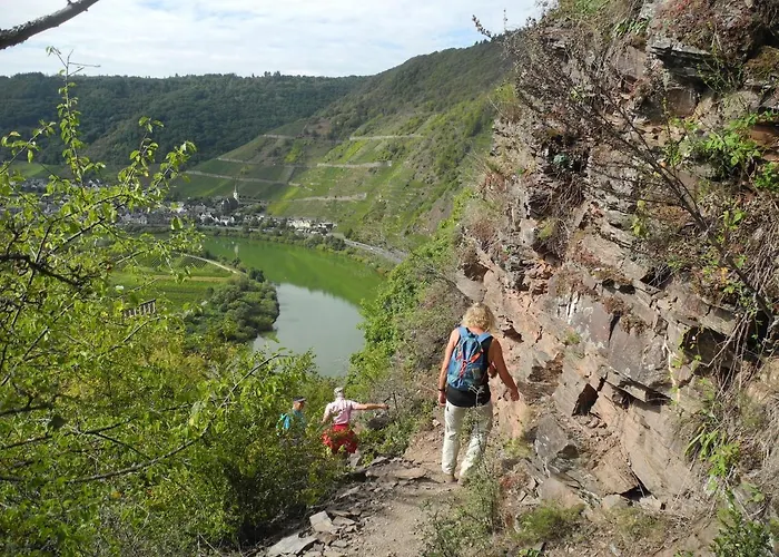 Weingut Hammes-krueger 3*